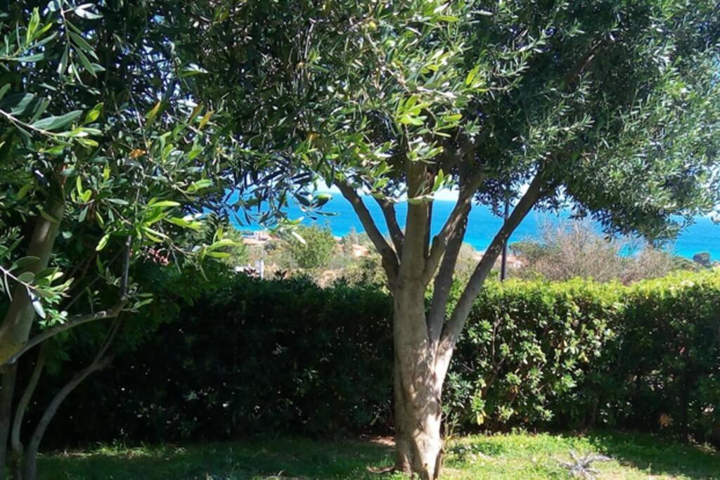 Holiday home Elisa, Holidays With Sea View Costa Rei