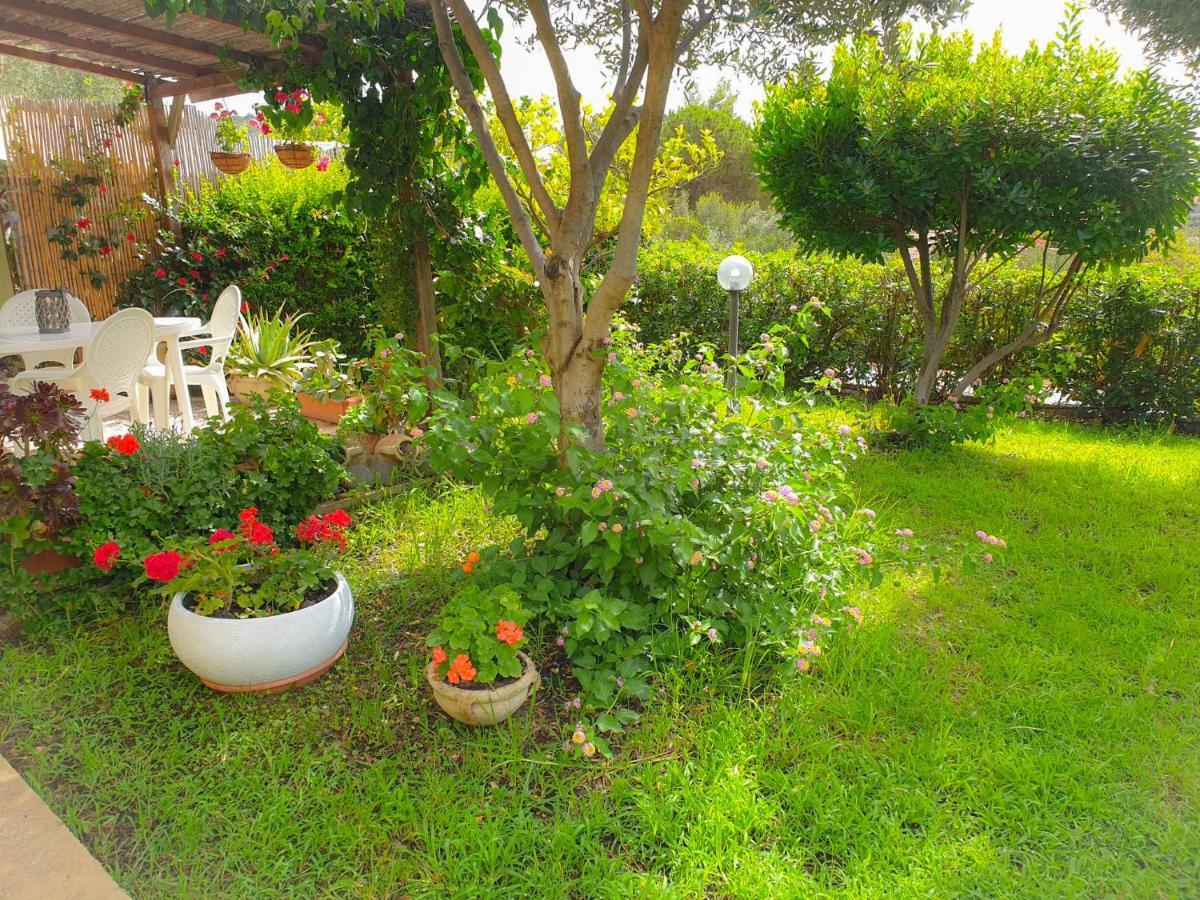 Holiday home Elisa, Holidays With Sea View